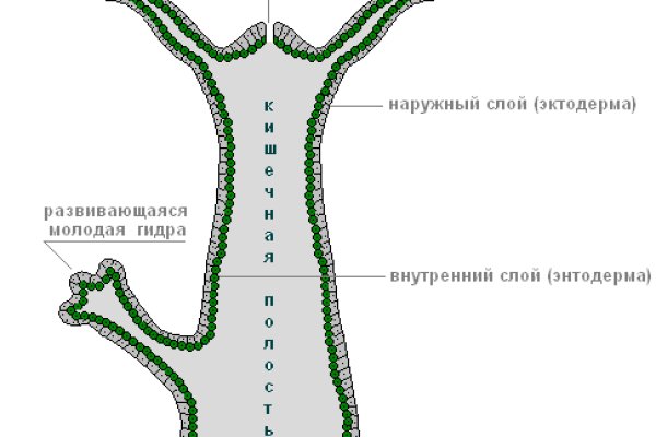 Через какой браузер можно зайти на кракен