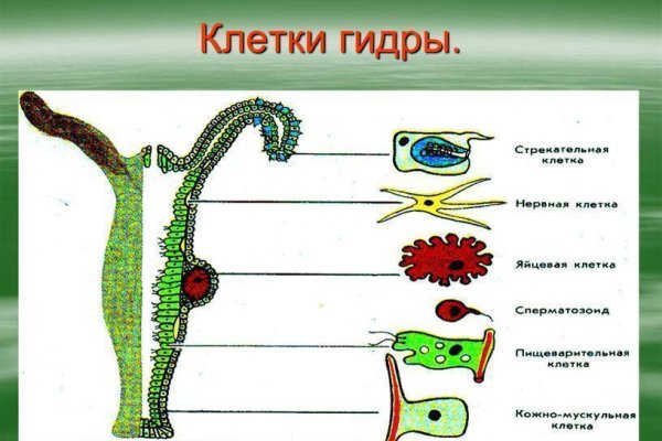 Kraken ссылка сайт kraken clear com