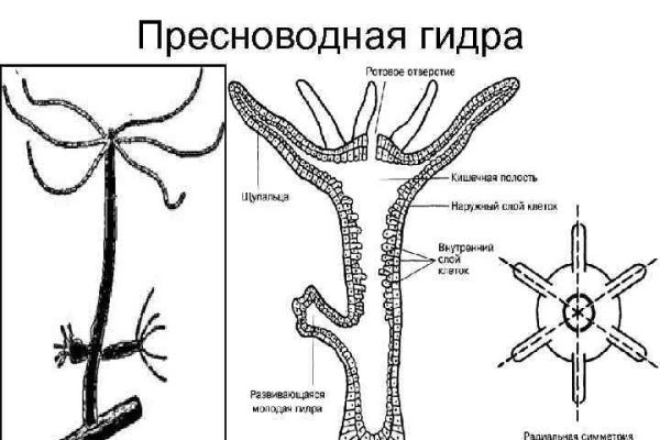 Кракен современный маркет